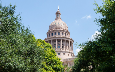 86th Texas Legislative Session Report: Legislation Impacting Children