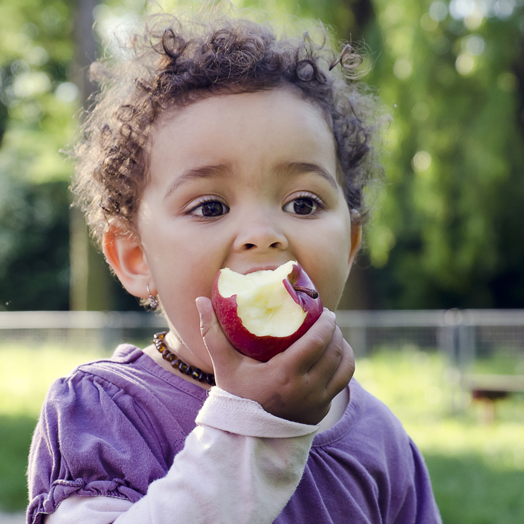 Food Insecurity_base
