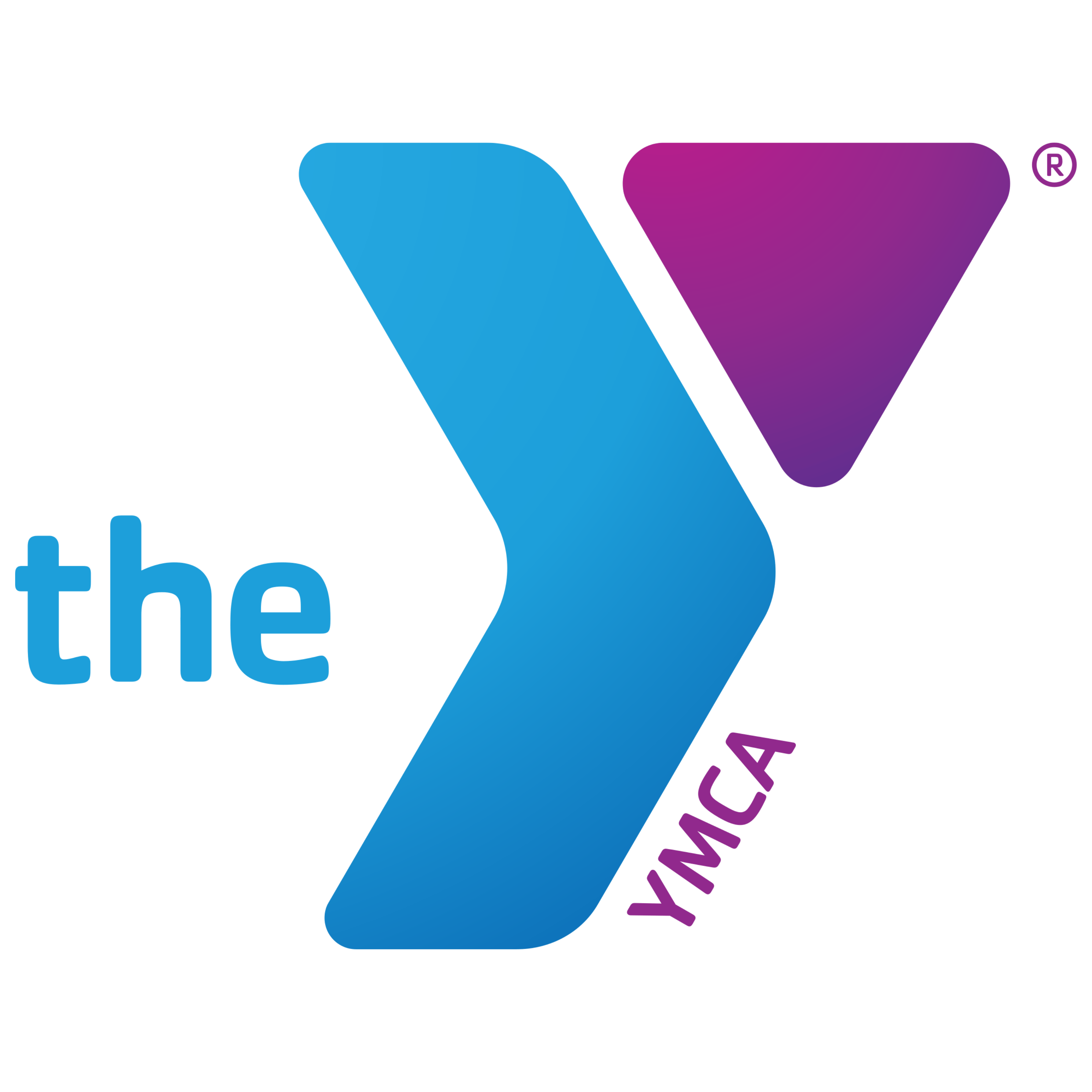 YMCA logo featuring a large blue 'Y' shape with a smaller purple triangle in the top right. The word 'the' appears in blue to the left of the 'Y,' and 'YMCA' is written vertically in purple along the side.