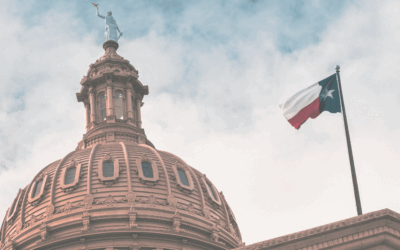 June 2025 Newsletter | The Children’s Immigration Network