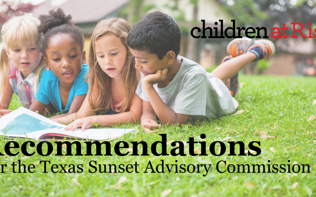 Recommendations for the Texas Sunset Commission Ahead of the 90th Texas Legislature