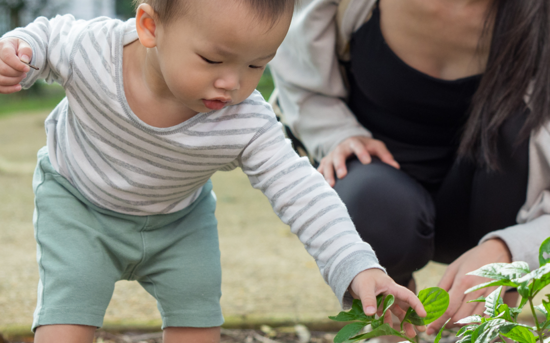 Seeds of Change: Recap of the 2026 Early Childhood Education Summit